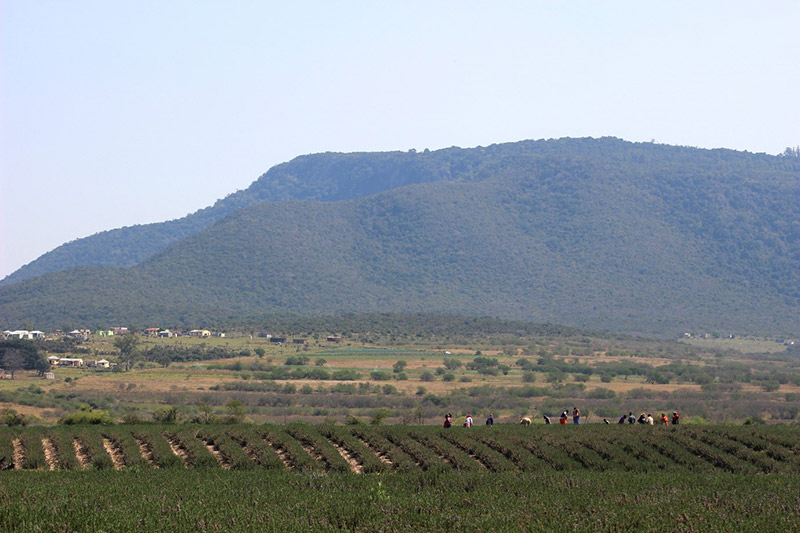 QQ-Website_About-us_2