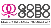 QOBO QOBO Logo